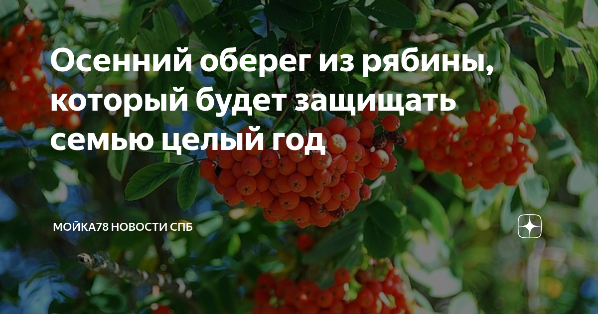 Ветка рябины своими руками: мастерим своими руками украшения для интерьера на тему природы