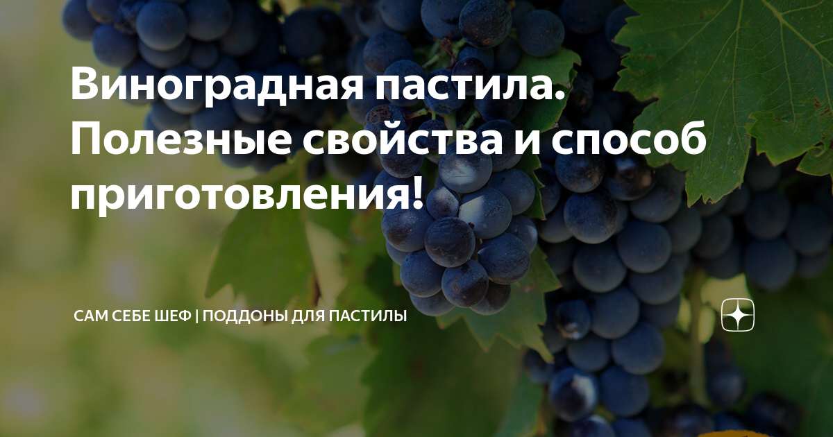 Виноградная пастила. Полезные свойства и способ приготовления! | Сам ...