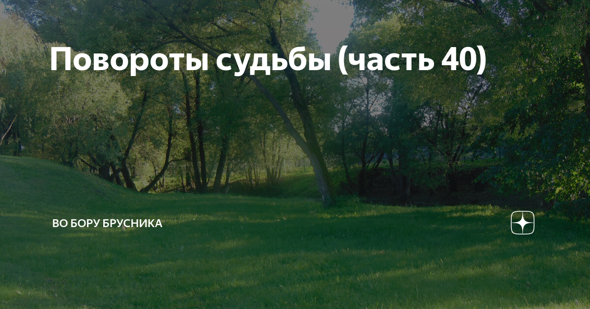 Дзен рассказы во бору брусника навигатор. Дзен рассказы во бору брусника навигатор