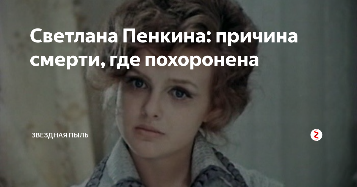 Смысл жизни пенкина. Смысл жизни пенкина