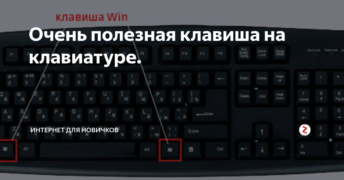 Градус на клавиатуре ноутбука. Плюс на клавиатуре. Клавиша плюс на клавиатуре. Кнопка интернет на клавиатуре компьютера. Плюс на клавиатуре компьютера.