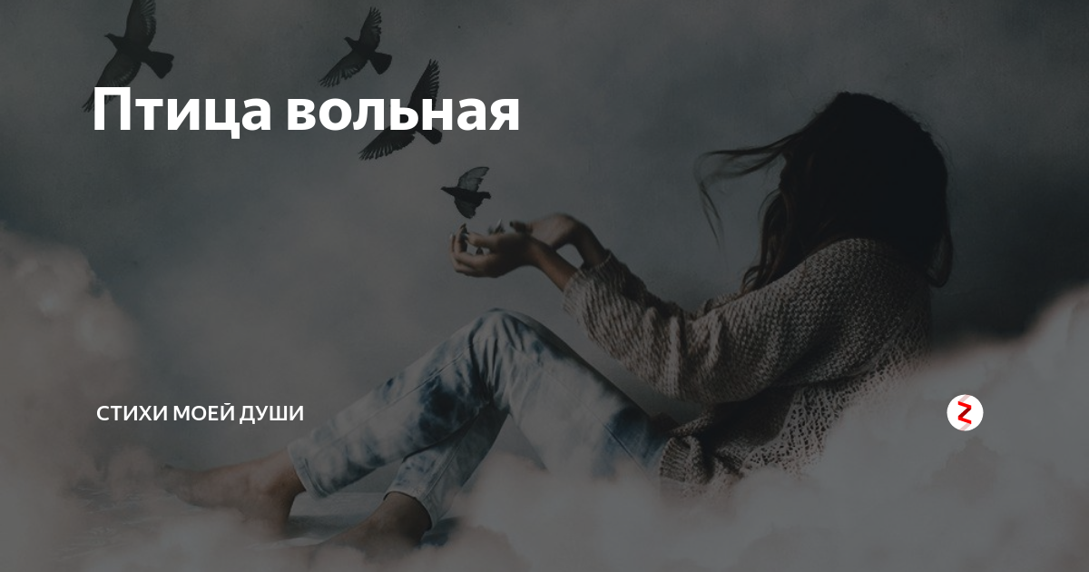 Вольная птица. Я птица Вольная. Ты Вольная птица. Улетай птица Вольная.