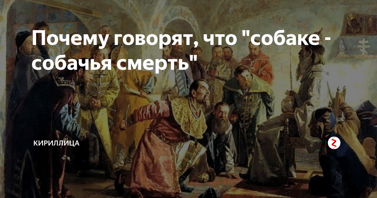 Почему говорят, что "собаке - собачья смерть" | Кириллица | Дзен