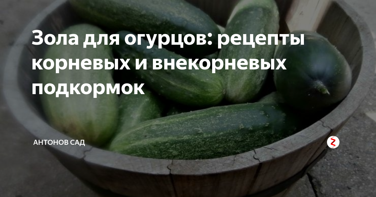 как приготовить раствор гипса