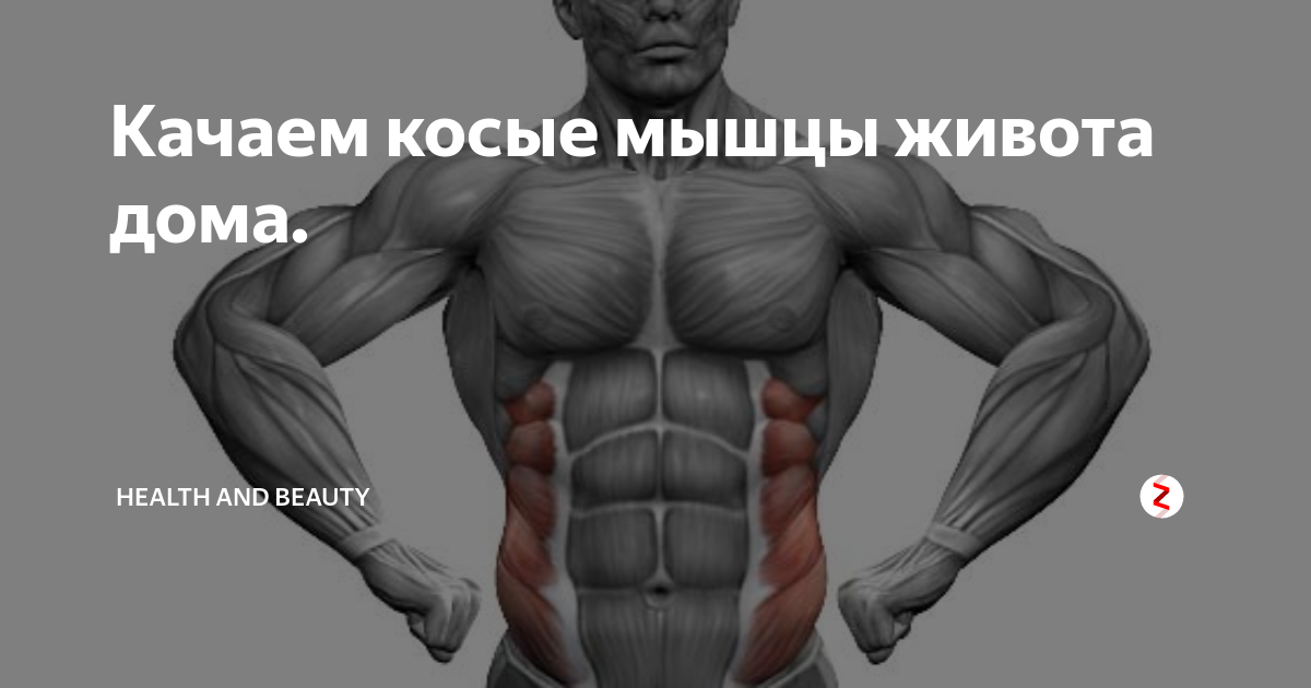 Качаем косые мышцы живота дома. | health and beauty | Дзен