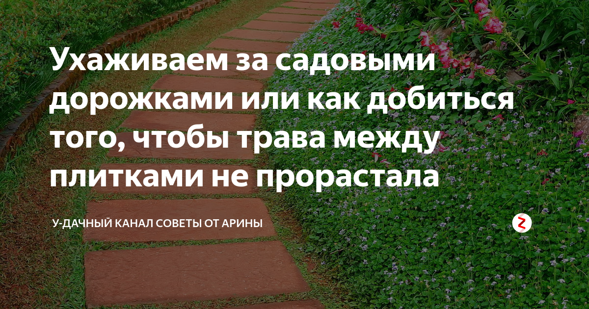Ухаживаем за садовыми дорожками или как добиться того, чтобы трава ...