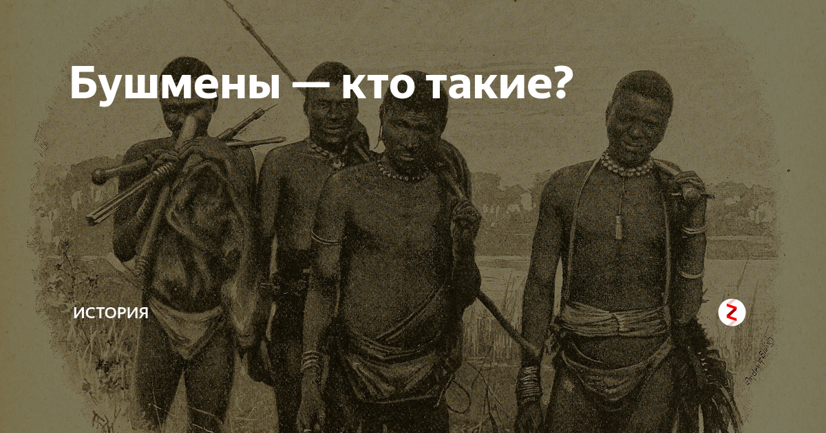 Бушмены — кто такие? | МИР ИСТОРИИ - WOH | Дзен
