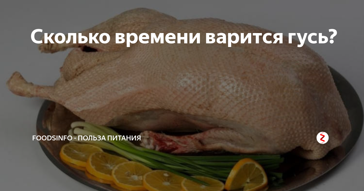 Отварные гусиные яйца. Утиные и гусиные яйца. Сколько варить гусиные. Яйца гуся вареные. Сколько варить гусиные.