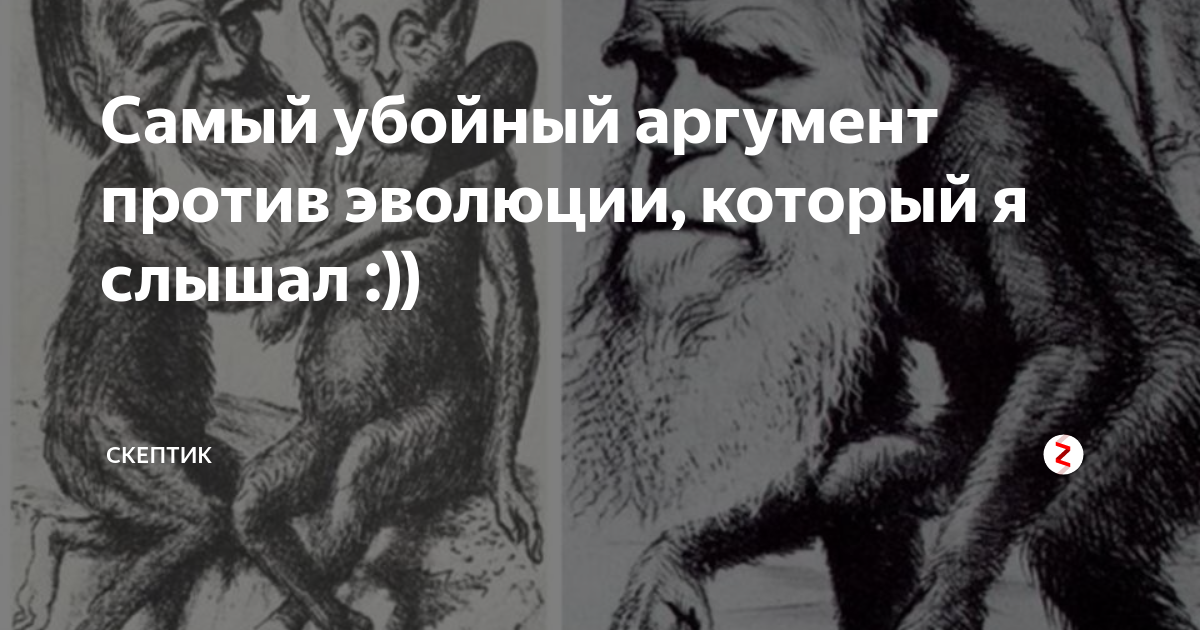 убийственные мемуары. благодарность мозг. убийственный аргумент. убийственный аргумент. клемент валландигэм.