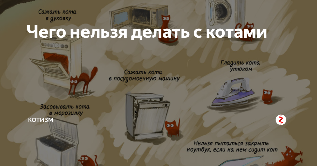 Как объяснить котенку что нельзя. Что нельзя делать с котами. Как объяснить котенку что нельзя делать. Как объяснить коту что нельзя
