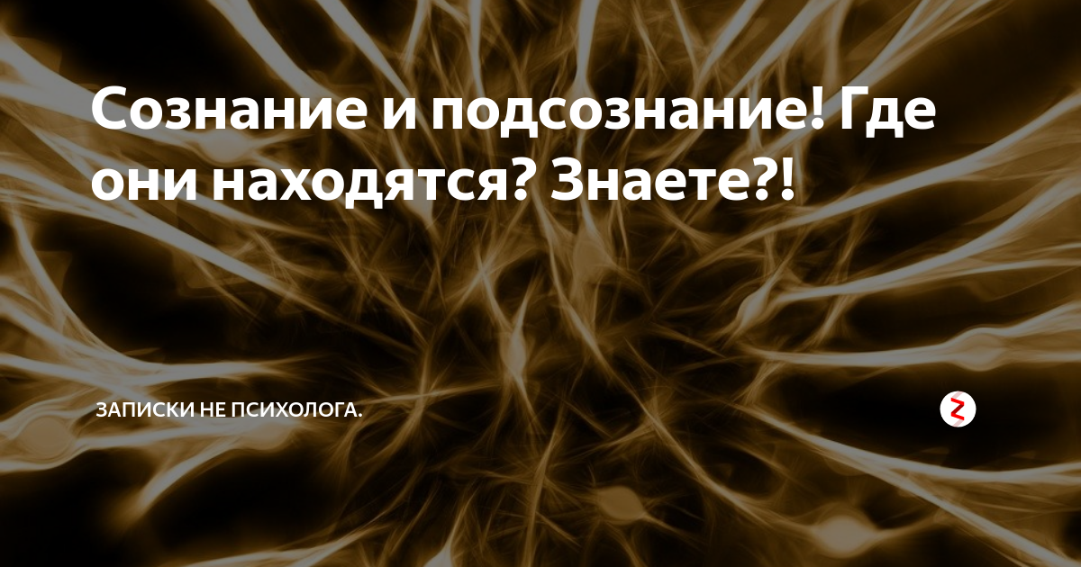Сознание и подсознание! Где они находятся? Знаете?! | Записки НЕ ...