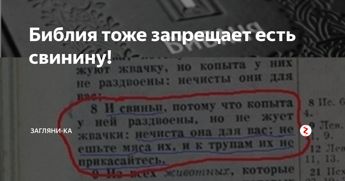 Свинина запрещено есть в Библии. Христианам запрещено есть свинину. Запрет свинины в Библии. Запрещает ли Библия есть свинину.