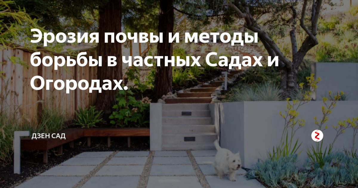 Эрозия почвы и методы борьбы в частных Садах и Огородах. | Дом и Сад | Дзен