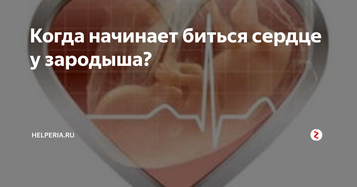 Сердце начинает биться быстрее. Сердце начинает биться быстрее