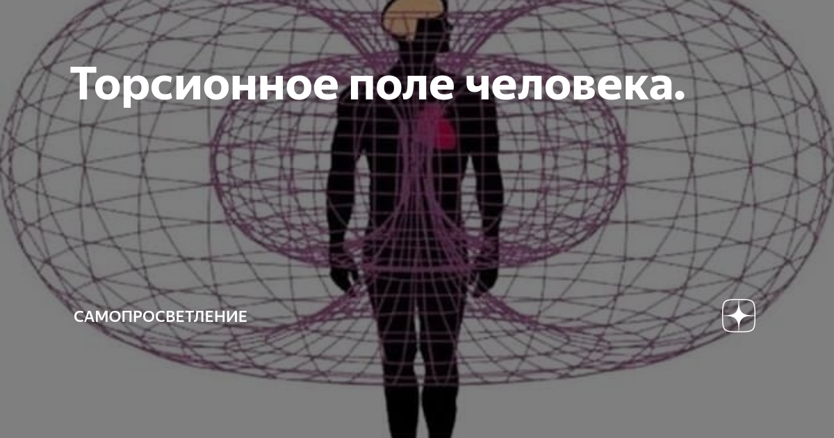 Моторное поле человека