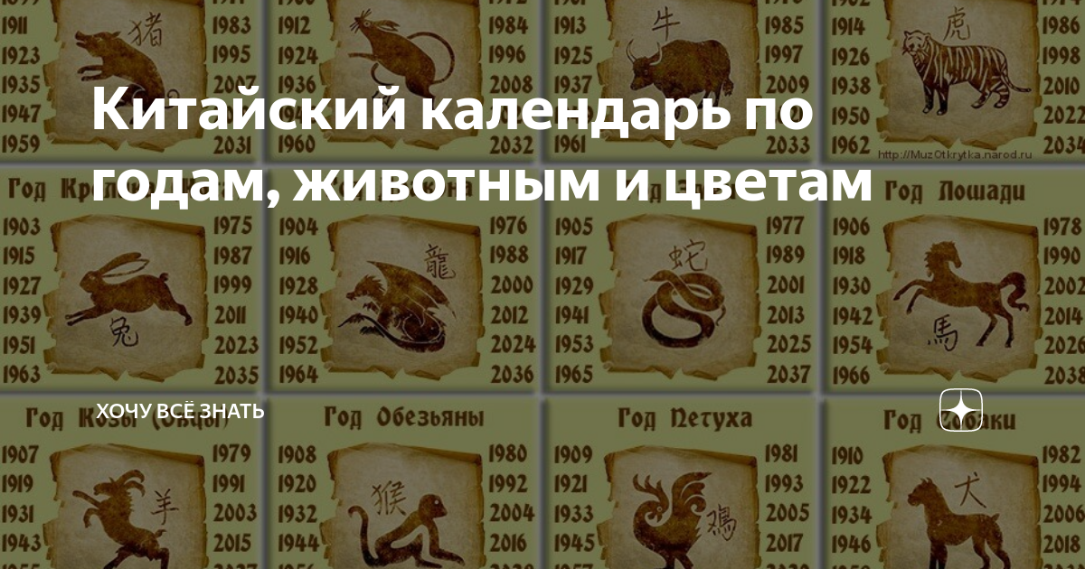 Животные символы года по восточному календарю и славянскому. Год тигра Славянский календарь. Год лошади Славянский календарь. Года зверей по славянски 2012 год.