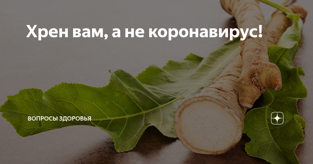 Ешь хрен едуч, будешь живуч: здоровые преимущества острого корня хрена