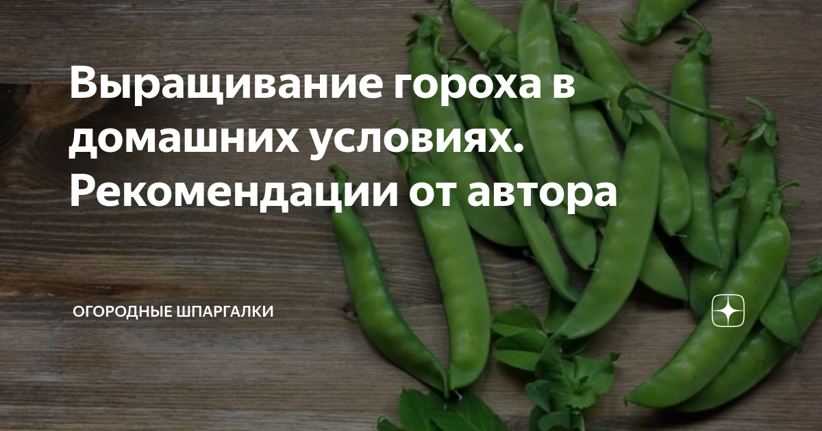 Подготовка почвы и посев