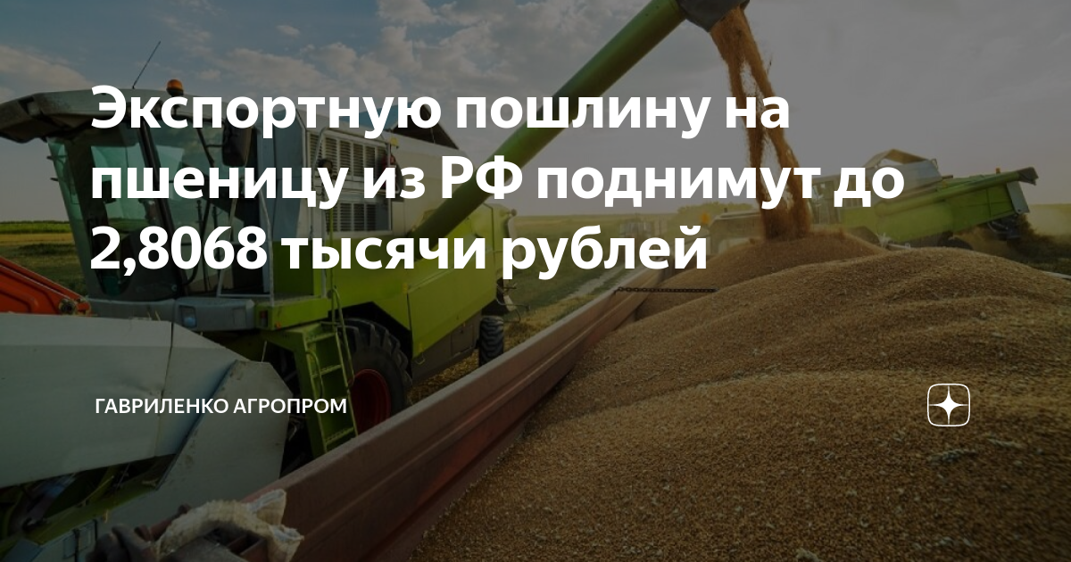 Пошлина на пшеницу на сегодня 2024 экспортная. Пошлина на пшеницу на сегодня 2024 экспортная. Пошлина на пшеницу на сегодня 2024 экспортная. Пошлина на пшеницу на сегодня 2024 экспортная. Экспортные пошлины.