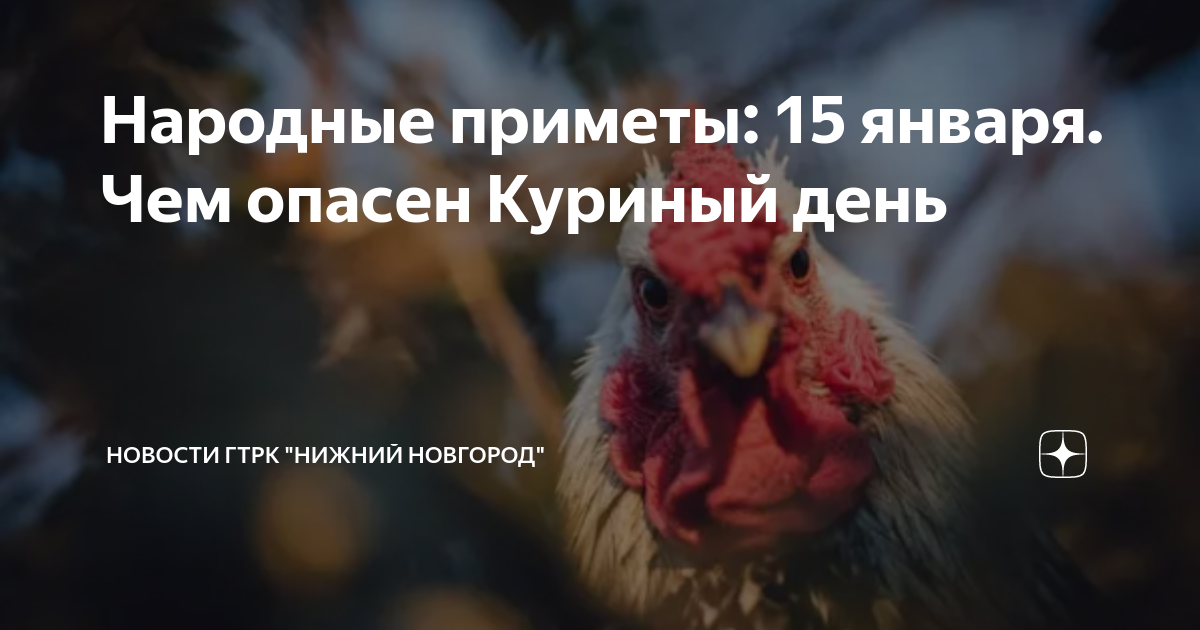 15 января приметы. Куриный день 15 января. 15го января куриный праздник.