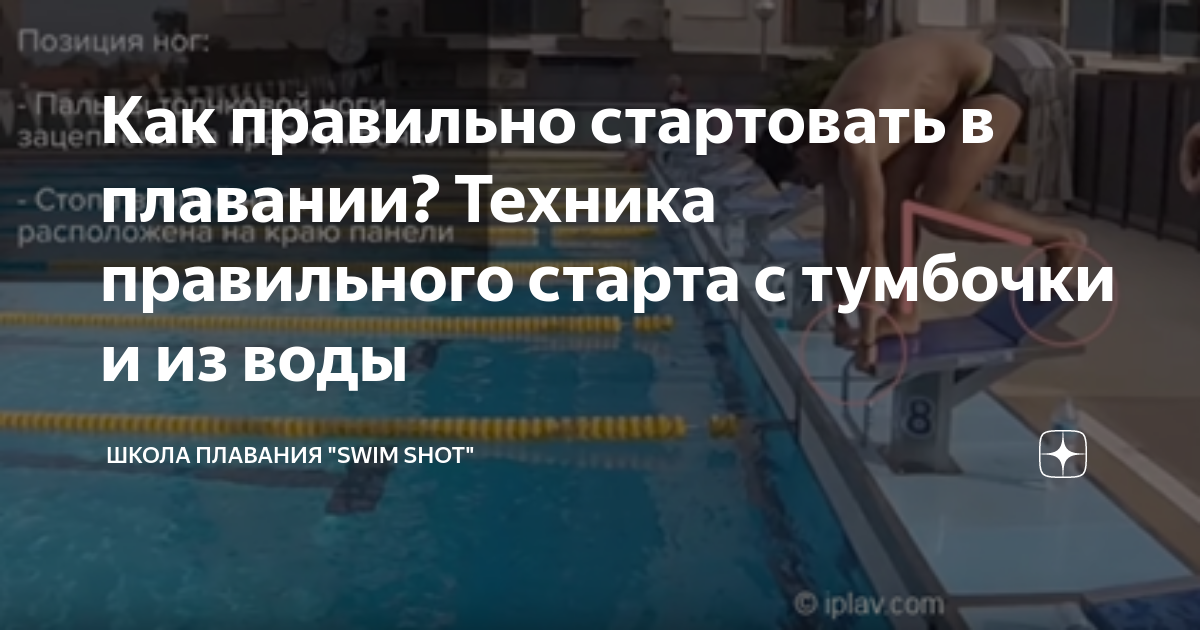 Как правильно стартовать в плавании? Техника правильного старта с ...