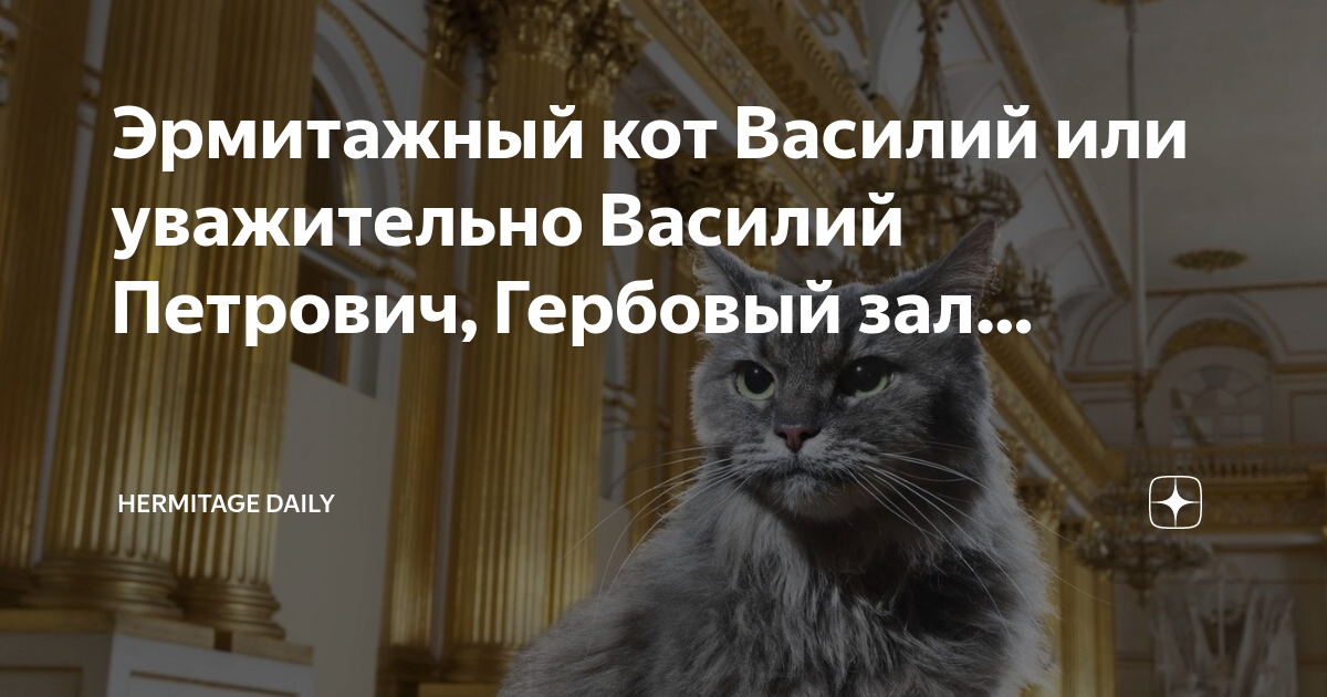 Истории Эрмитажного кота Василия. Эрмитажные истории кота Василия. Книга для семейного чтения.