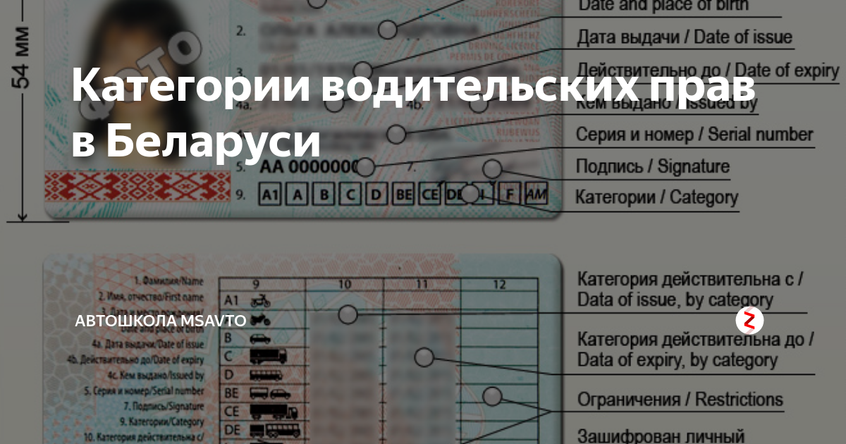 Расшифровка водительского. Водительское удостоверение Беларусь расшифровка. Категории водительских прав РБ. Категории прав в Беларуси. Водительское удостоверение расшифровка пунктов.