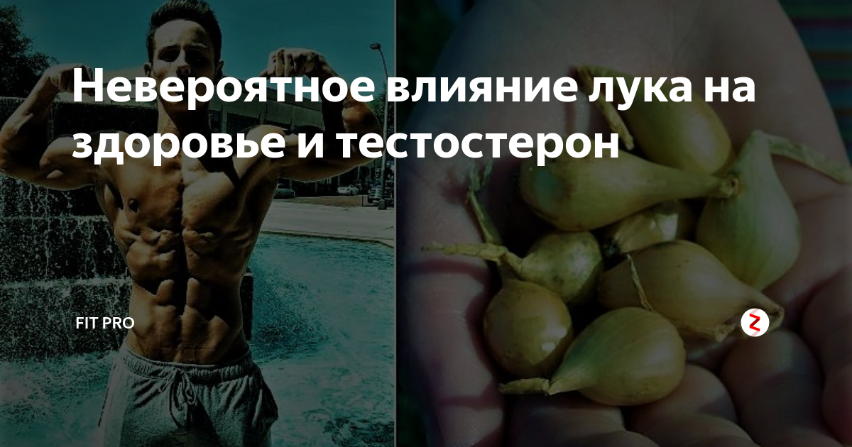 Невероятное влияние лука на здоровье и тестостерон | FIT PRO | Дзен