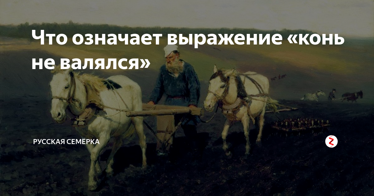 Выражение конь не валялся. Выражения про лошадей. Kon ne valjalsja. Конь не валялся. Что значит конь не валялся.