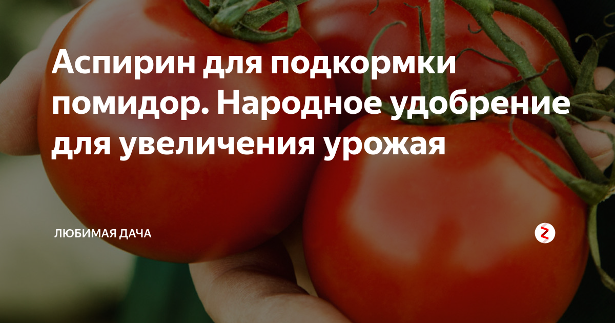 Народная подкормка. Средство для роста помидор. Помидоры с аспирином. Аспирин для подкормки помидор и огурцов. Аспирин для рассады.