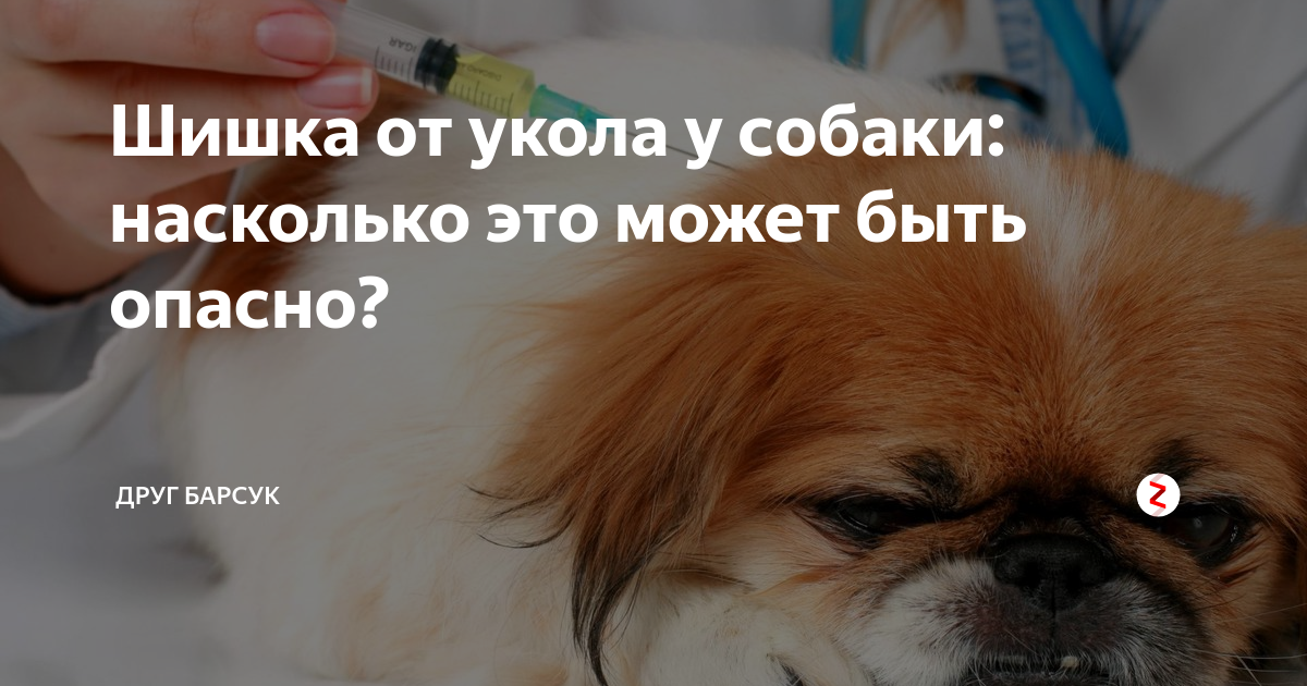 Шишка на попе от укола не рассасывается уже месяц. Чем ускорить процесс?