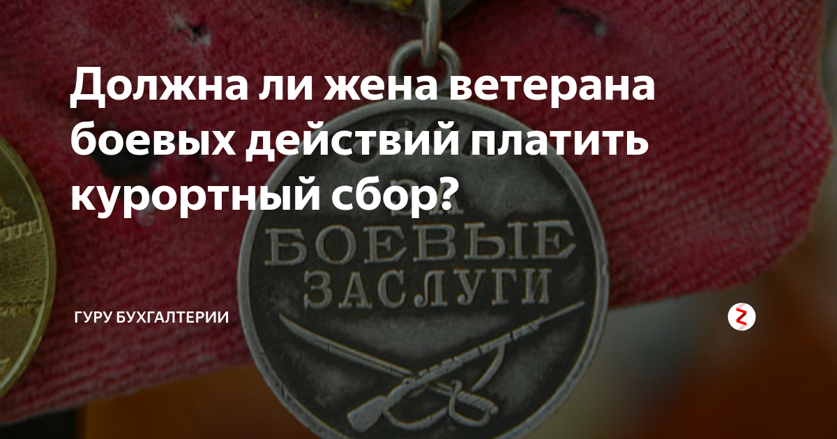 Льготы положенные ветеранам боевых действий. Жена с с ветераном боевых действий. Льготы вдове участника боевых действий. Пособие ветеранов боевых действий. Что полагается ветеранам боевых действий.