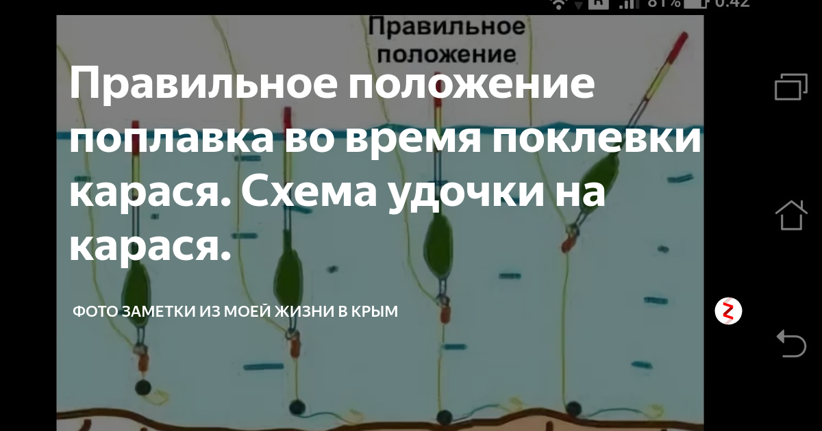 Правильная оснастка поплавочной удочки на карася. Схема оснастки поплавочной удочки на карася. Снасть на карася поплавочной удочкой. Схема поплавочной удочки со скользящим поплавком. Оснастка поплавочной удочки на карася летом.