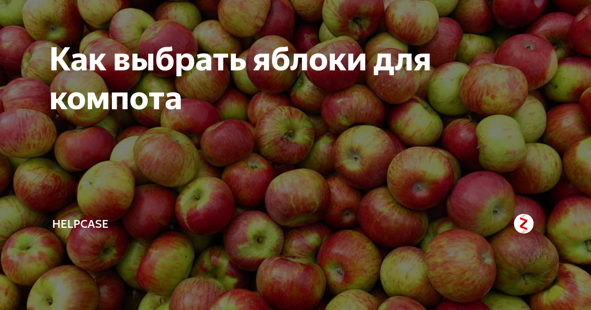 Как выбрать яблоки для компота | HelpCase | Дзен