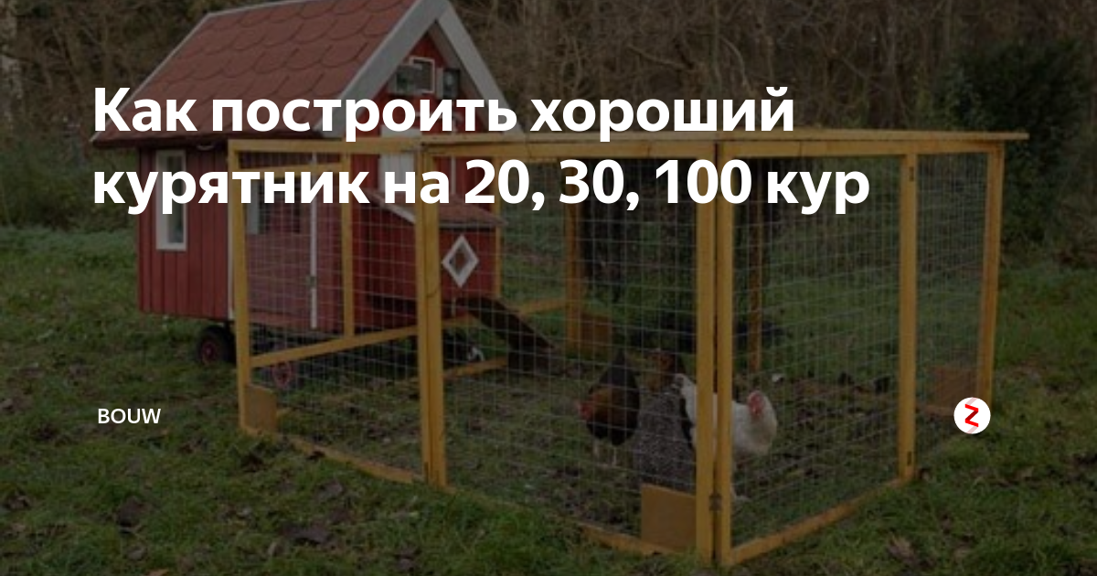 Проект птичника на 100 голов: схемы, как сделать сарай своими руками