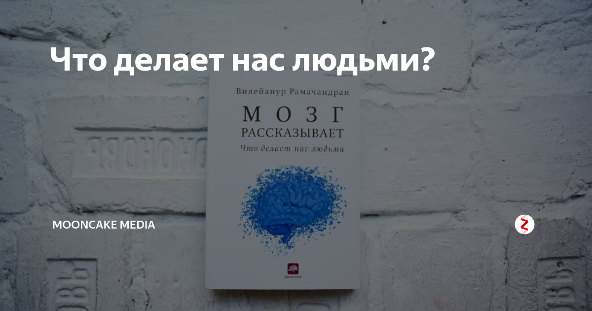 Вилейанур Рамачандран: Мозг Рассказывает. купить на OZON по низкой цене