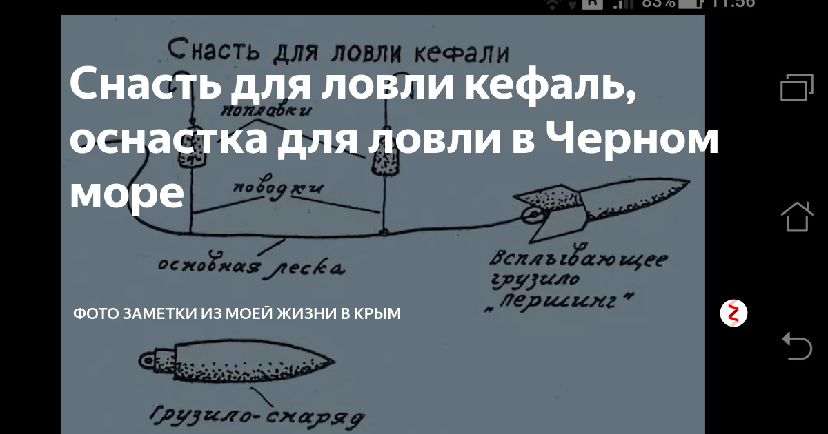 Снасть на кефаль: поплавочная удочка, донная снасть, бомбарда