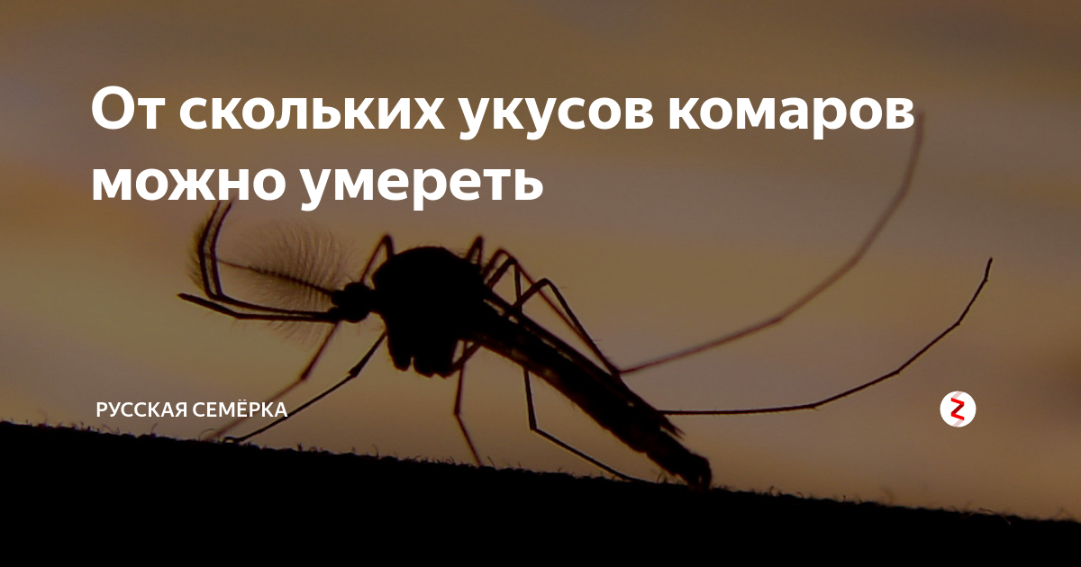 как избавиться от шрамов после укуса комаров
