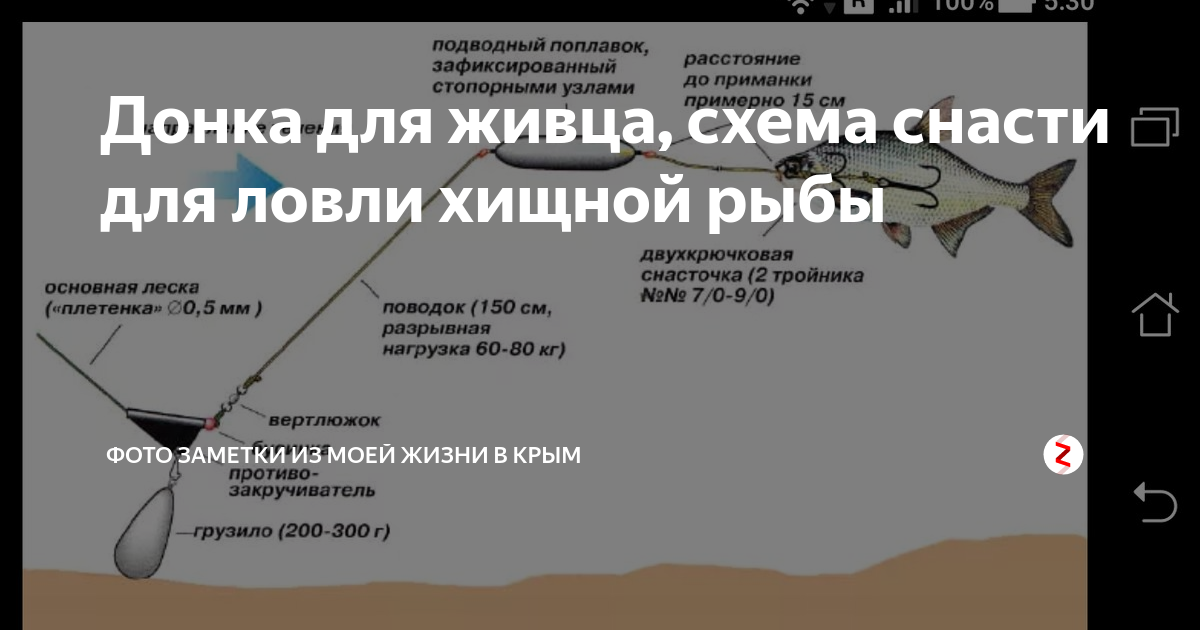 Донка на щуку оснастка