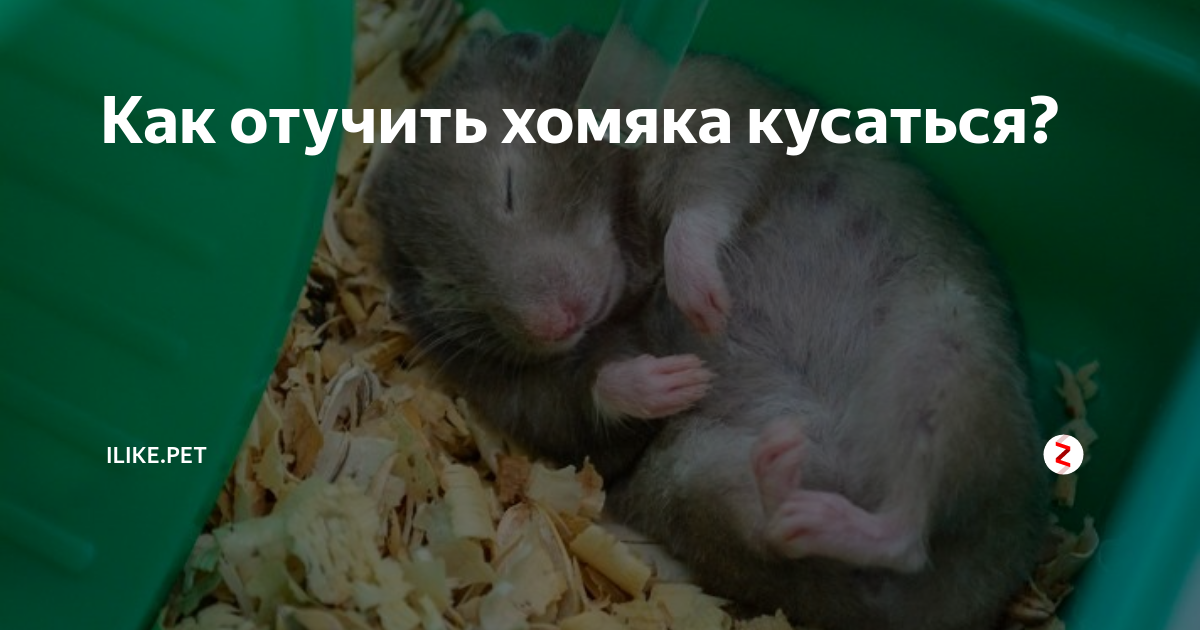 Болезнь или боль: