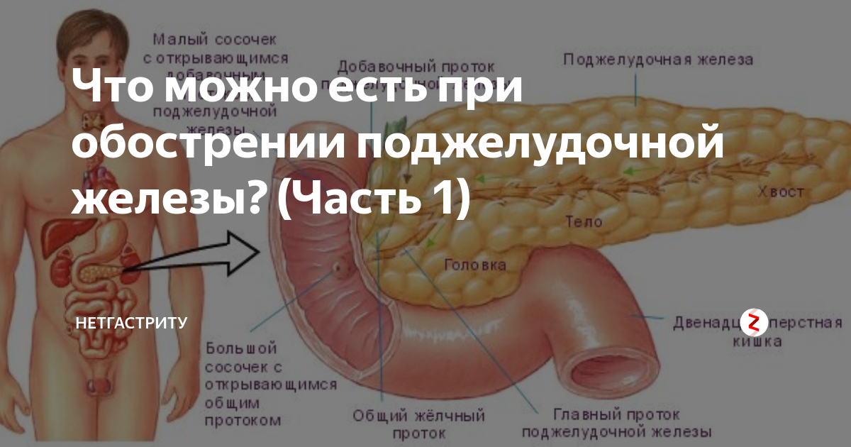 Болит поджелудочная железа. Если ноет поджелудочная железа. Желудок и поджелудочная железа симптомы. Органы человека поджелудочная железа.