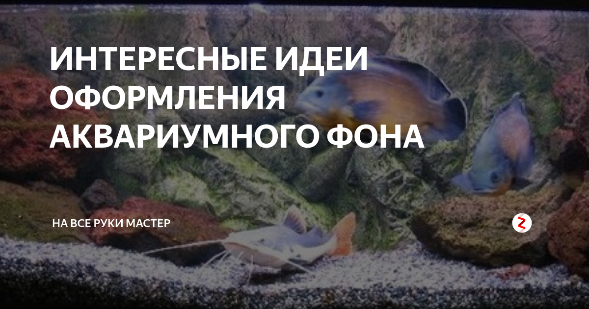 Оформление аквариума - какие элементы декора выбрать | Aquarium-Style