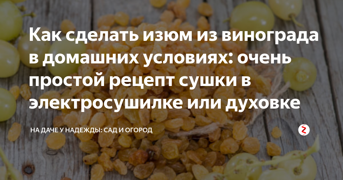 Как делают изюм. Как сделать Изюм в домашних условиях. Изюм из винограда в домашних условиях. Как сделать Изюм из винограда. Как высушить виноград на Изюм в домашних условиях.