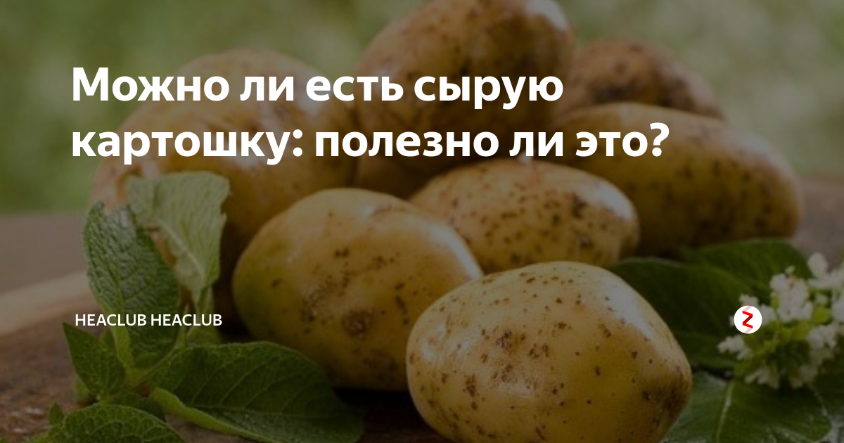 7 продуктов, которые становятся отравой, если их не приготовить - 17 июля - tatianazvezdochkina.ru