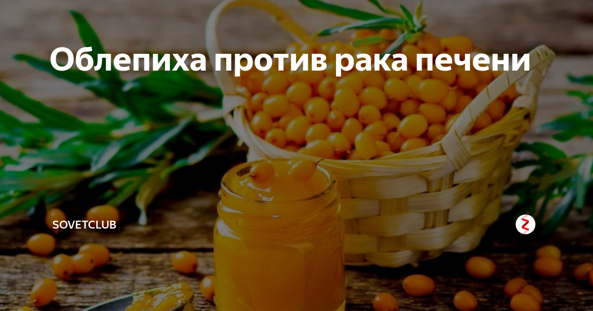 облепиховое масло при панкреатите можно. облепиховое масло для детей. облепиховое масло алтайское 50 мл. облепиха крушиновидная масло. облепиховое масло из плодов и листьев 50мл.