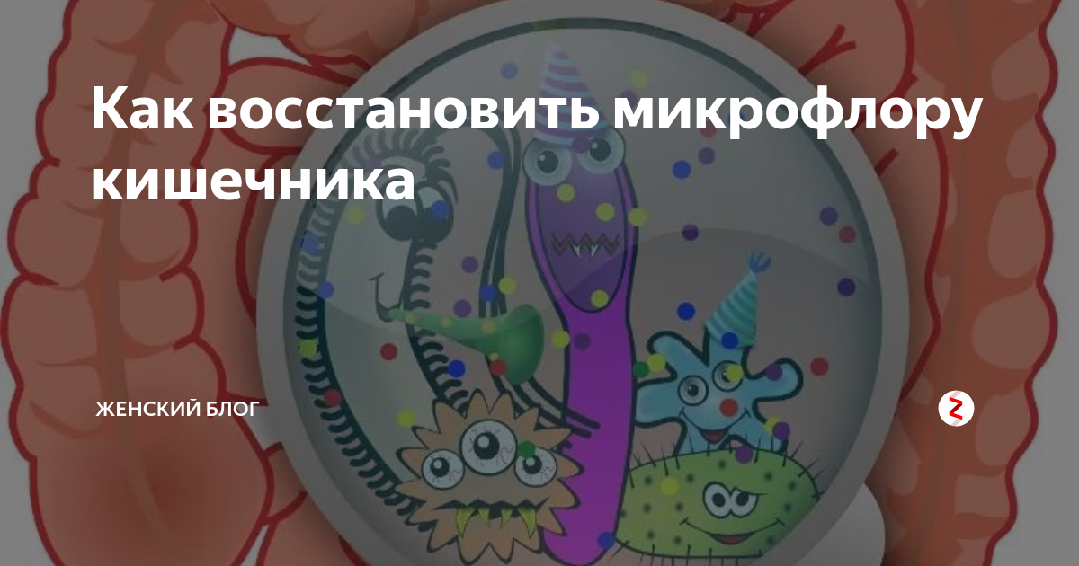 Как восстановить микрофлору