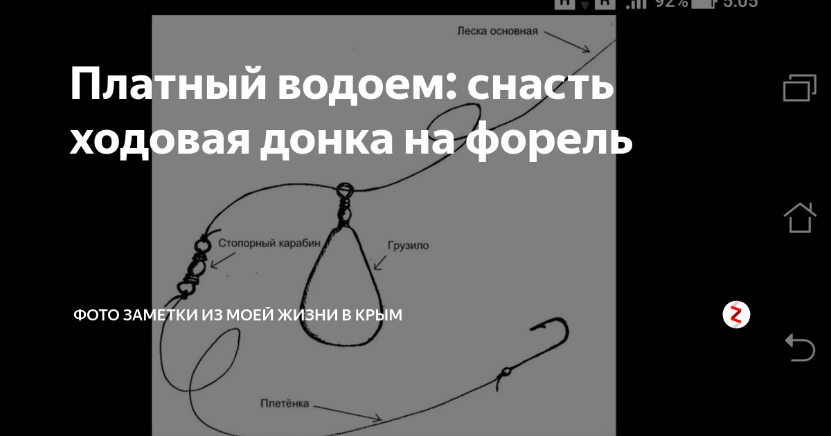 Монтаж на платник. Донная оснастка на форель. Донная снасть на форель. Оснастки для ловли форели на платниках. Оснастка донной удочки для ловли форели.