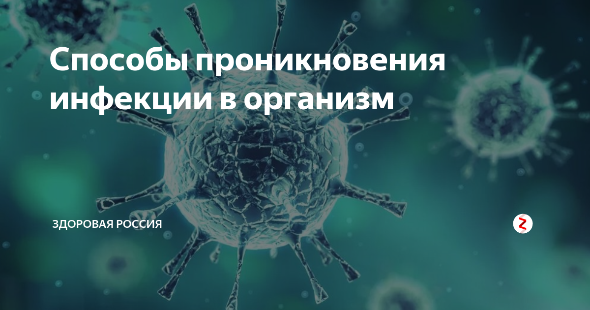 как вывести инфекцию из организма народными средствами