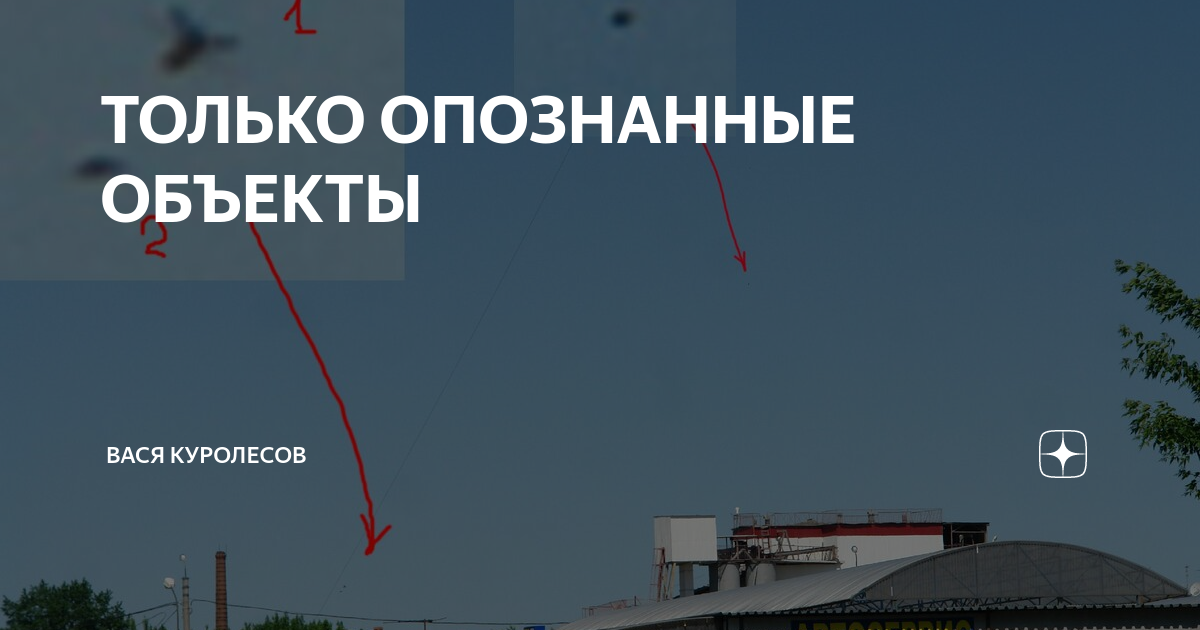 ТОЛЬКО ОПОЗНАННЫЕ ОБЪЕКТЫ | Вася Куролесов | Дзен