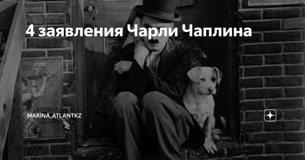 Чаплина 4 смоленск. Микей магазин. Дк сортировка смоленск. Чаплина 4 смоленск. Чаплин смоленск ресторан.
